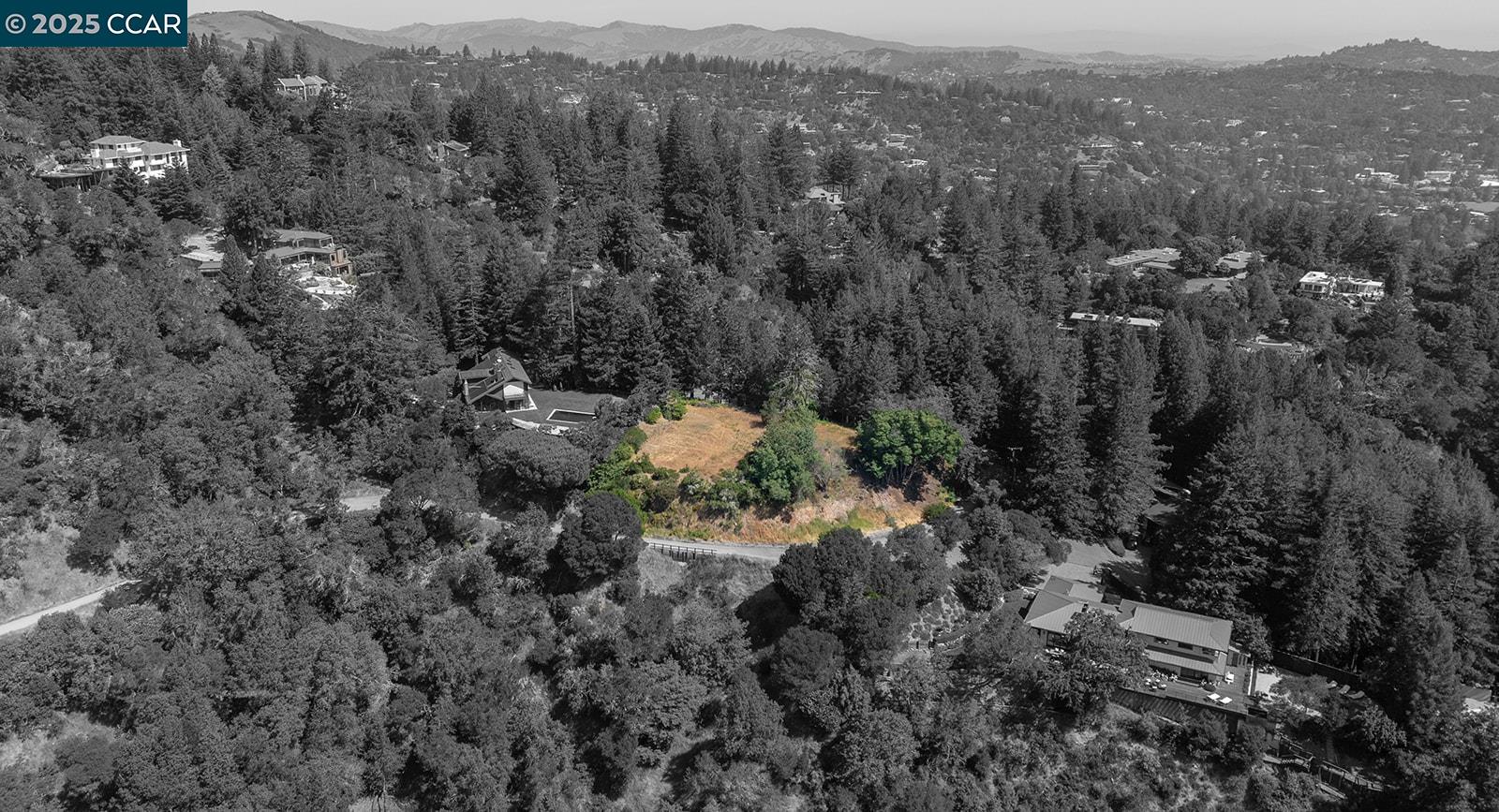 Kentfield Kentfield, CA 94904 - Photo 9 of 12 a view of a forest with a street