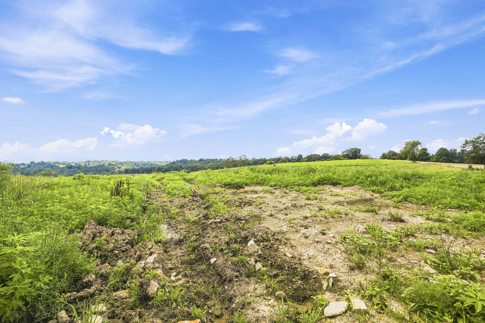 525 Chipman Ridge Road Williamstown, KY 41097 - Photo 46 of 49 53-web-or-mls-53-print-_B6A0726
