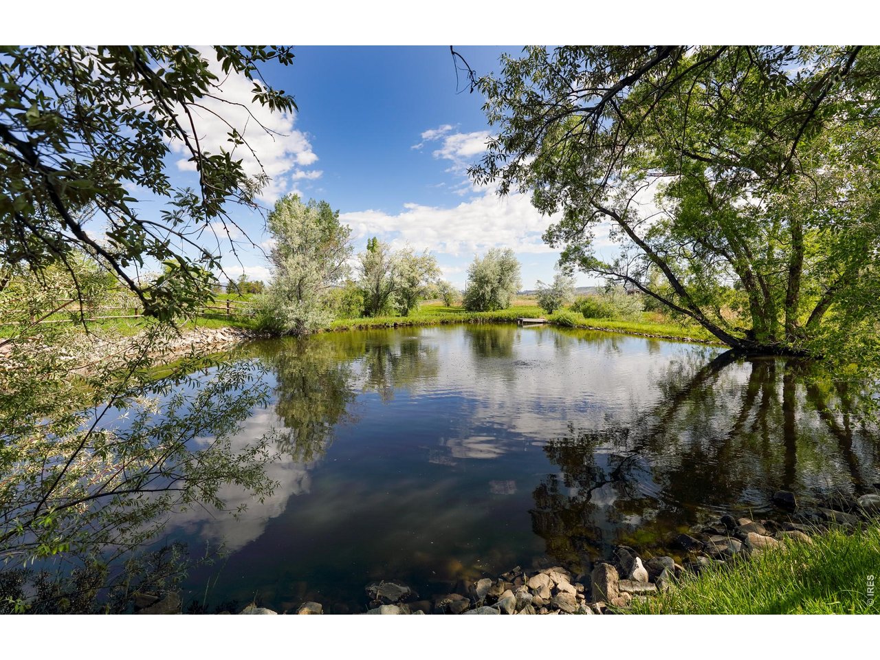 5575 St Vrain Road Longmont, CO 80503 - Photo 5 of 50