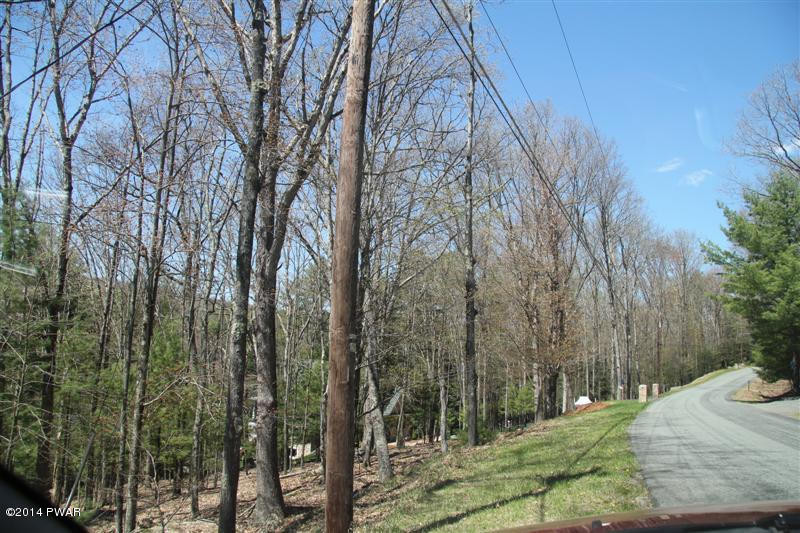 Woodledge East Road Hawley, PA 18428 - Photo 10 of 12