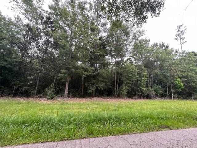 0 Helen Street Lacombe, LA 70445 - Photo 1 of 1