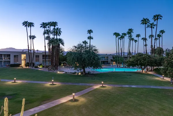a view of a park and a palm tree