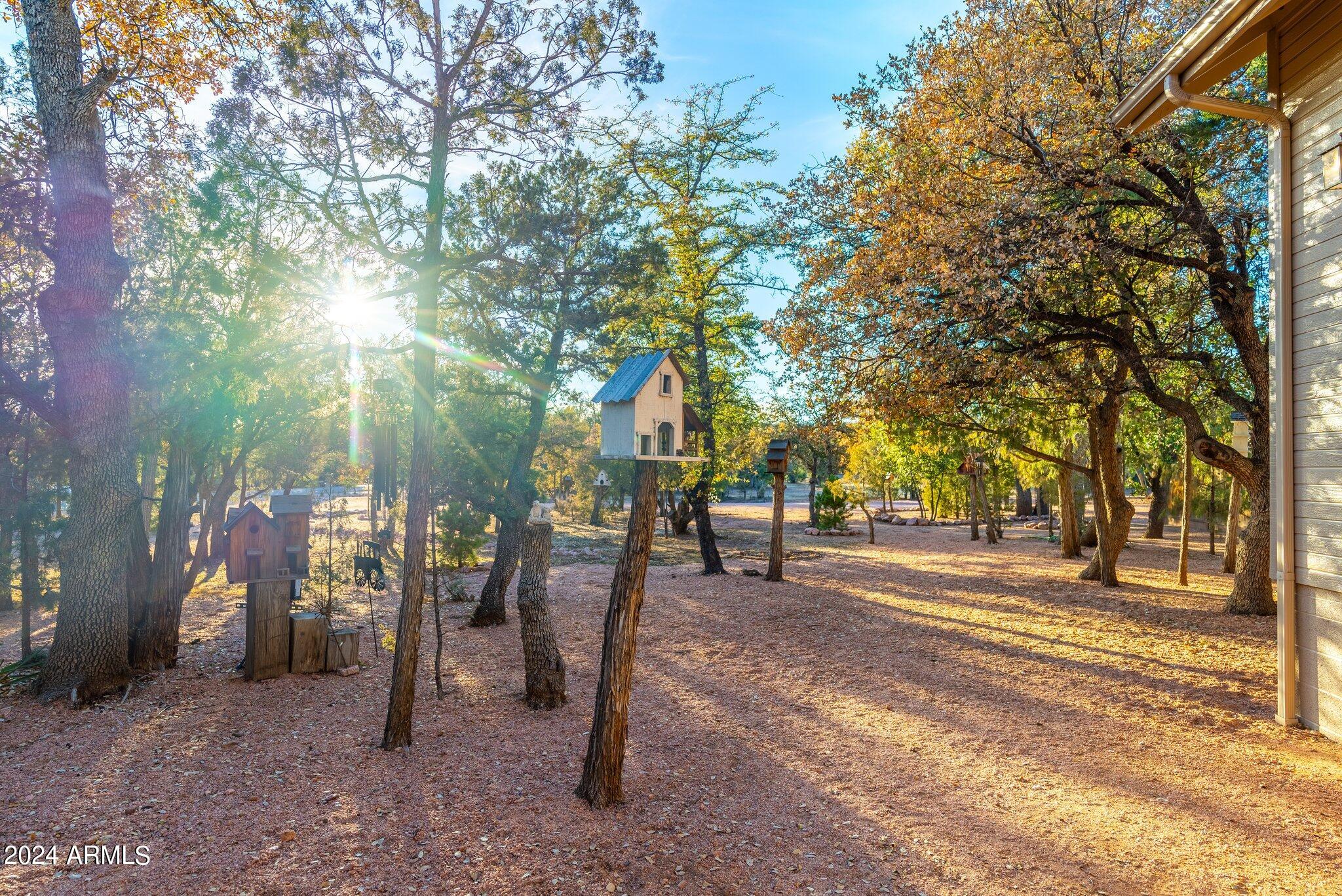 1204 West Chatham Drive Payson, AZ 85541 - Photo 38 of 109 1204 W Chatham Dr - 38