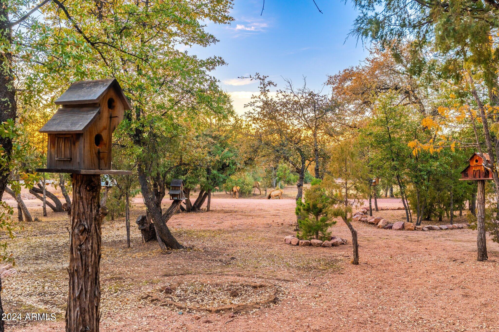 1204 West Chatham Drive Payson, AZ 85541 - Photo 54 of 109 1204 W Chatham Dr - 54