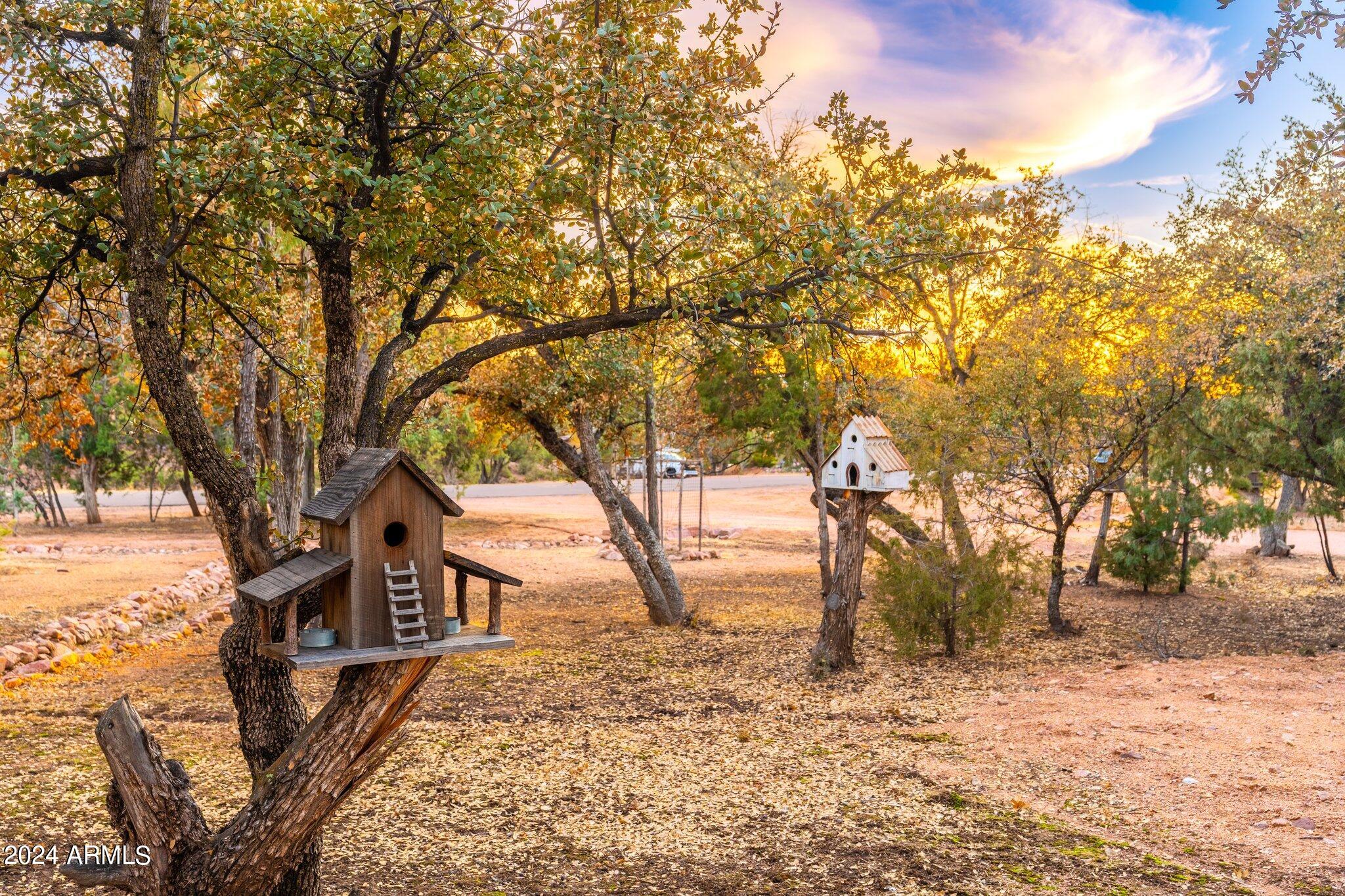 1204 West Chatham Drive Payson, AZ 85541 - Photo 56 of 109 1204 W Chatham Dr - 56