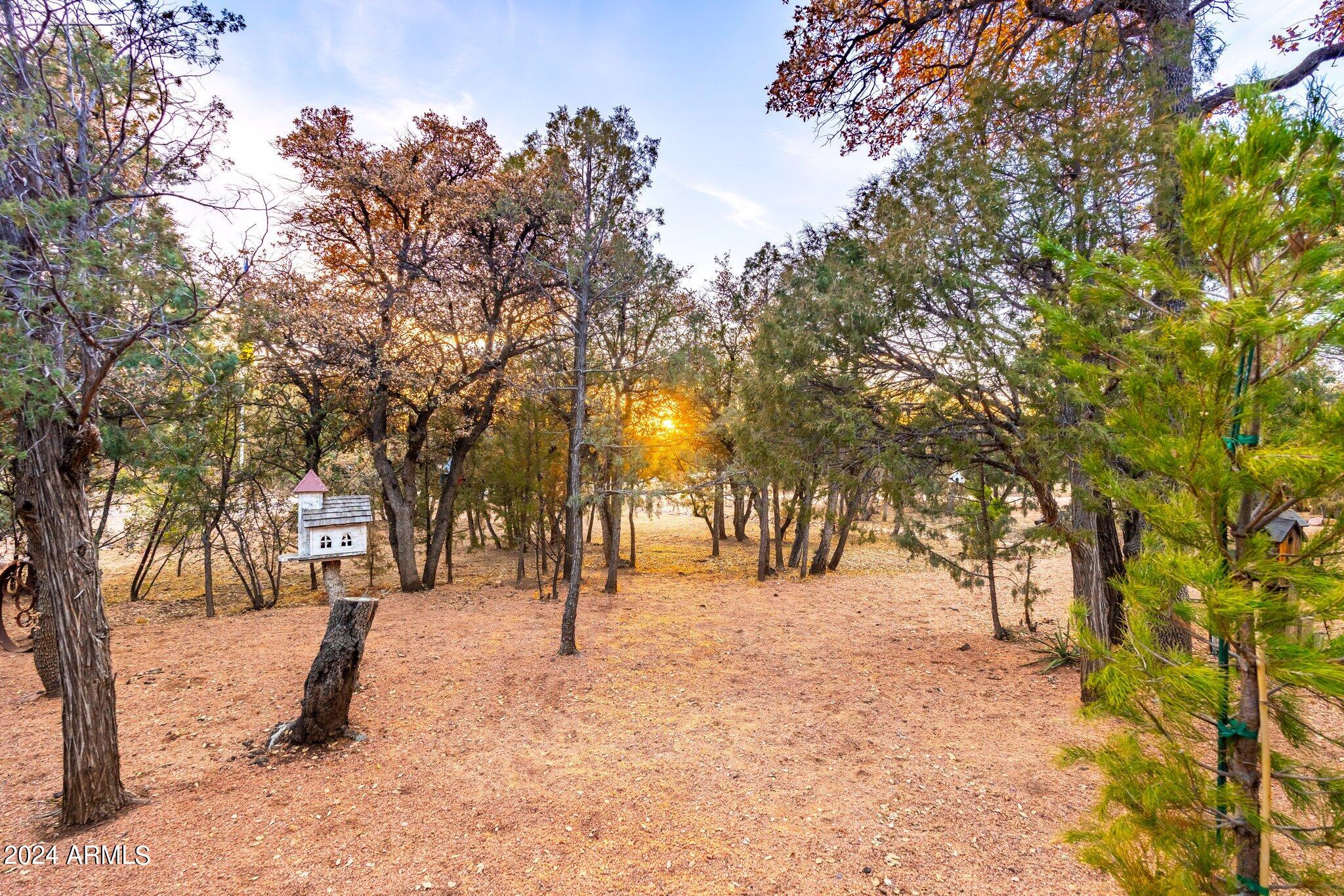 1204 West Chatham Drive Payson, AZ 85541 - Photo 59 of 109 1204 W Chatham Dr - 59