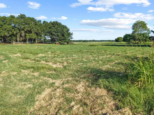 a view of a field with an ocean