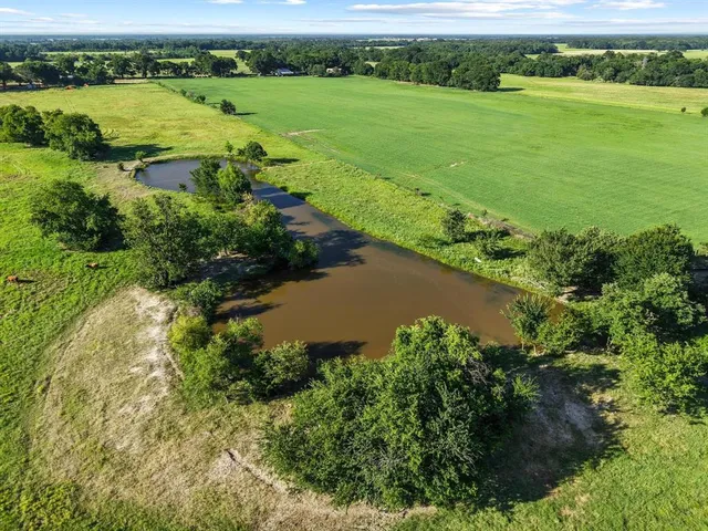 a view of a green field with an ocean