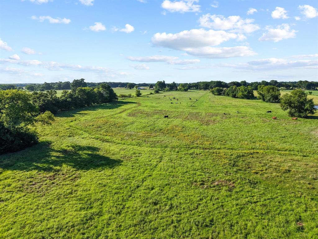 2131 Telephone Tx 75488 Telephone, TX 75488 - Photo 12 of 27 a view of a garden with an outdoor space