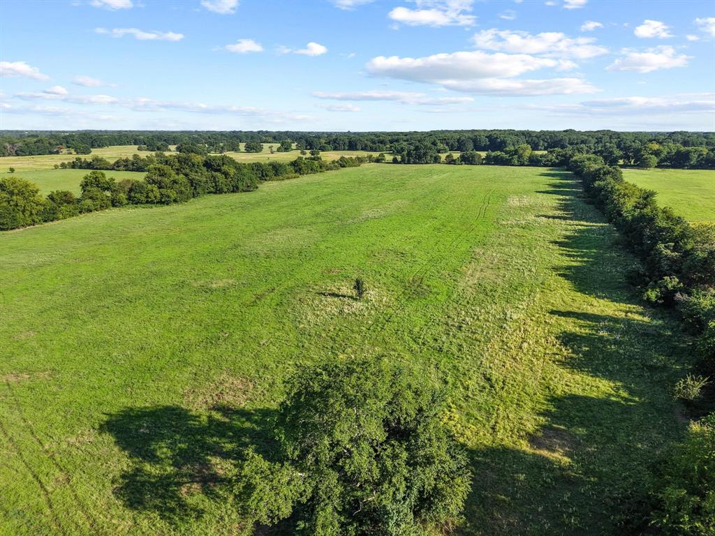 2131 Telephone Tx 75488 Telephone, TX 75488 - Photo 13 of 27 a view of a green field with an ocean