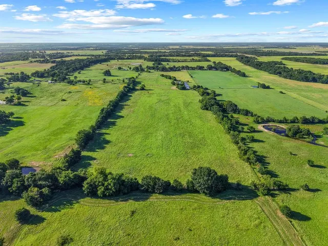 a view of a field with an ocean