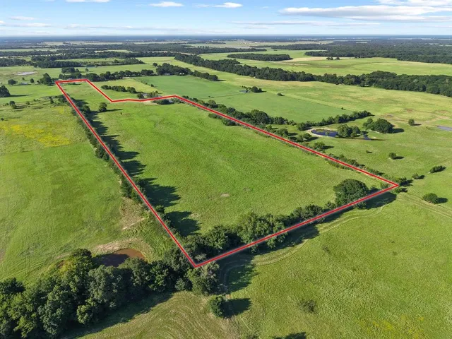 a view of a green field with lots of green space