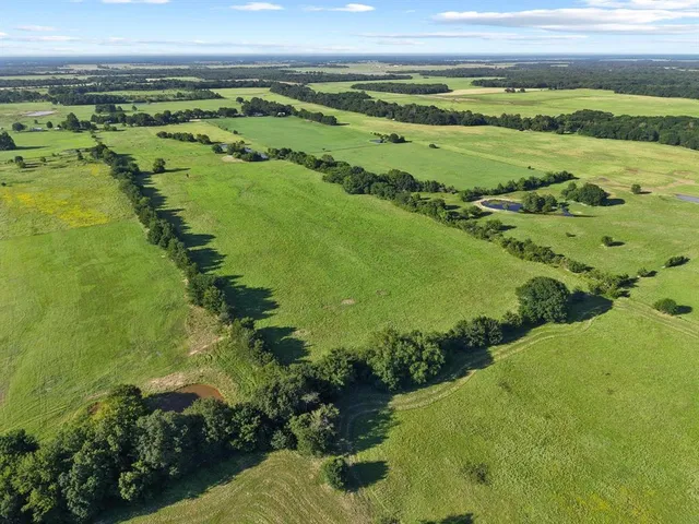 a view of a field with an ocean