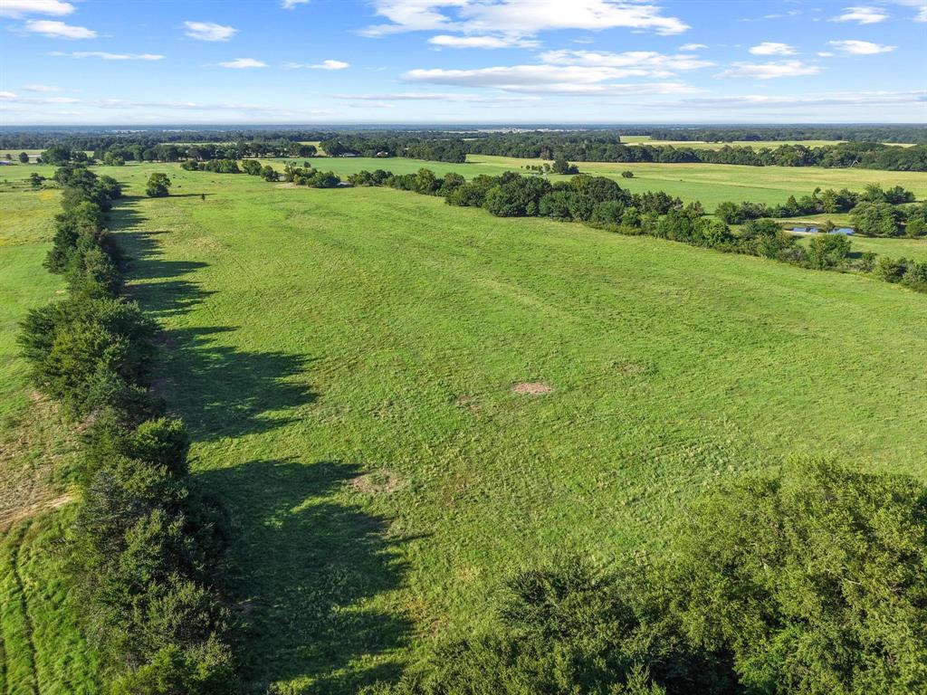 2131 Telephone Tx 75488 Telephone, TX 75488 - Photo 22 of 27 a view of a green field with lots of green space