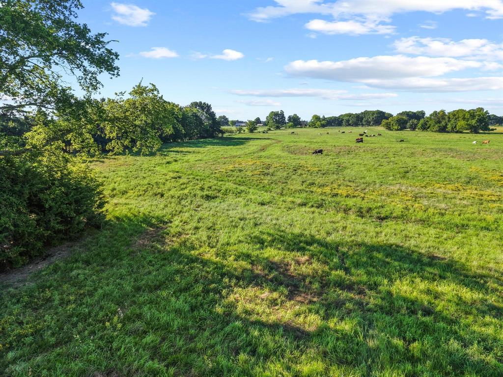 2131 Telephone Tx 75488 Telephone, TX 75488 - Photo 24 of 27 a view of a big yard with lots of green space and plants