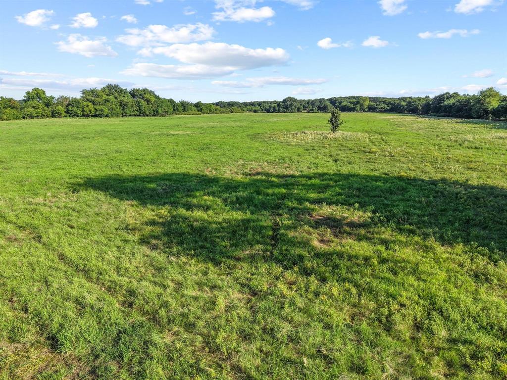 2131 Telephone Tx 75488 Telephone, TX 75488 - Photo 25 of 27 a view of a green field with an ocean