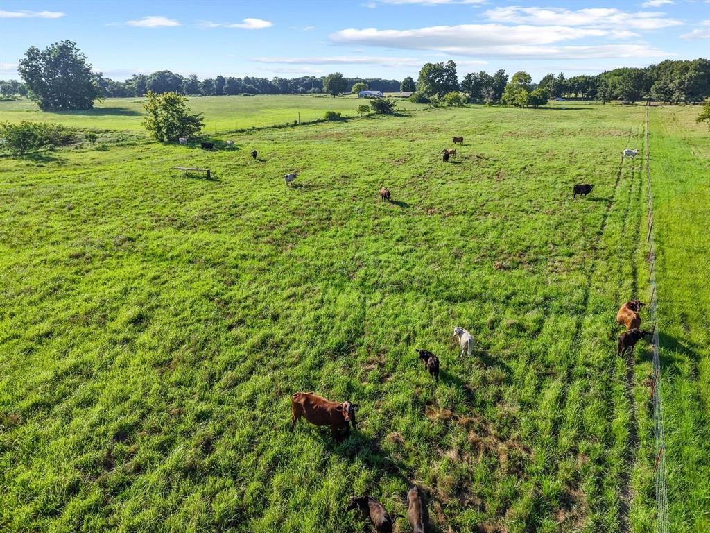 2131 Telephone Tx 75488 Telephone, TX 75488 - Photo 27 of 27 a view of an outdoor space and a yard