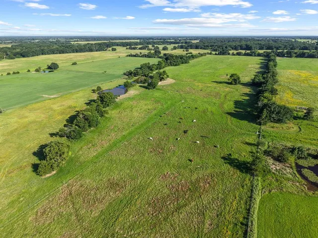 a view of a garden with an outdoor space