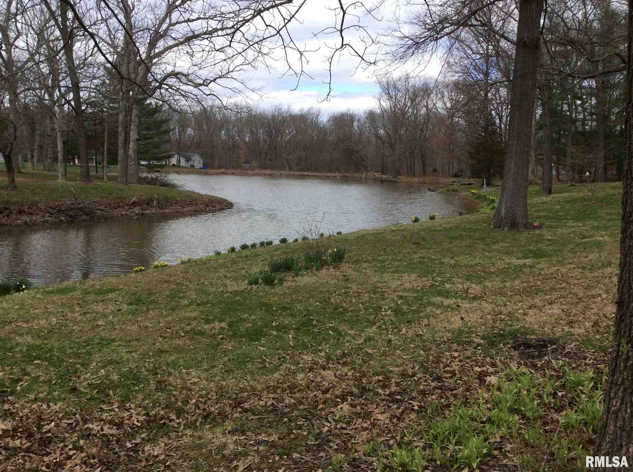 12424 East Lakeview Road Mount Vernon, IL 62864 - Photo 5 of 50 Gallery Image 5
