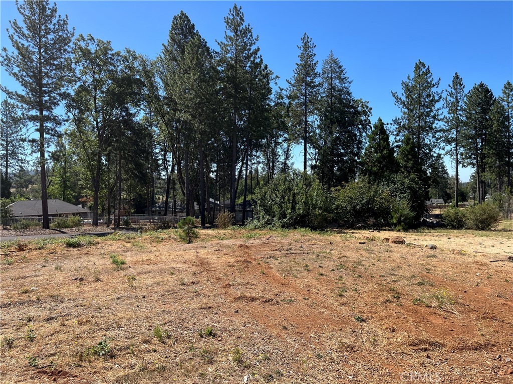 9238 Skyway Road Paradise, CA 95969 - Photo 5 of 9