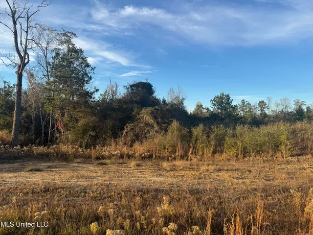 $80,000 | 0 Parker Road, McHenry, MS 39561
