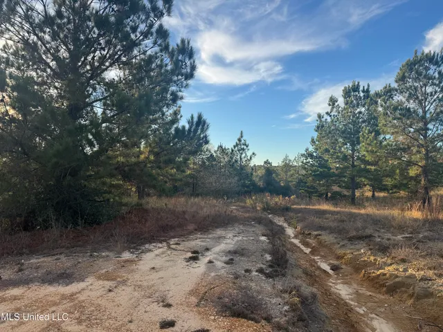 $80,000 | 0 Parker Road, McHenry, MS 39561