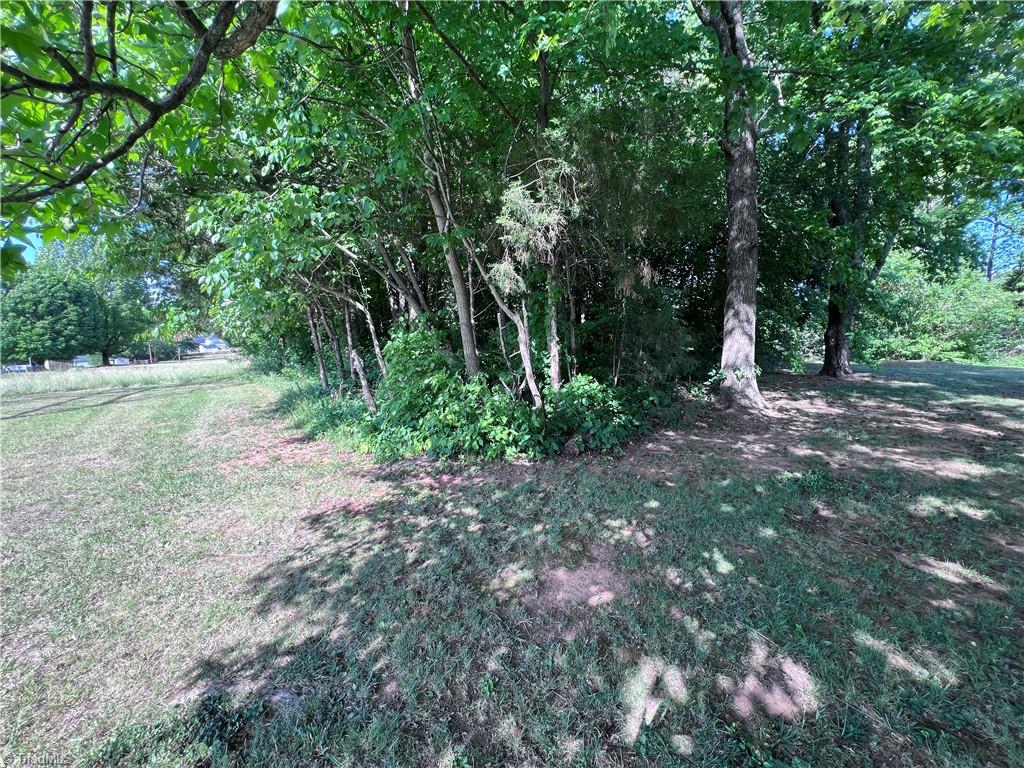 0 County Line Road Thomasville, NC 27360 - Photo 3 of 5