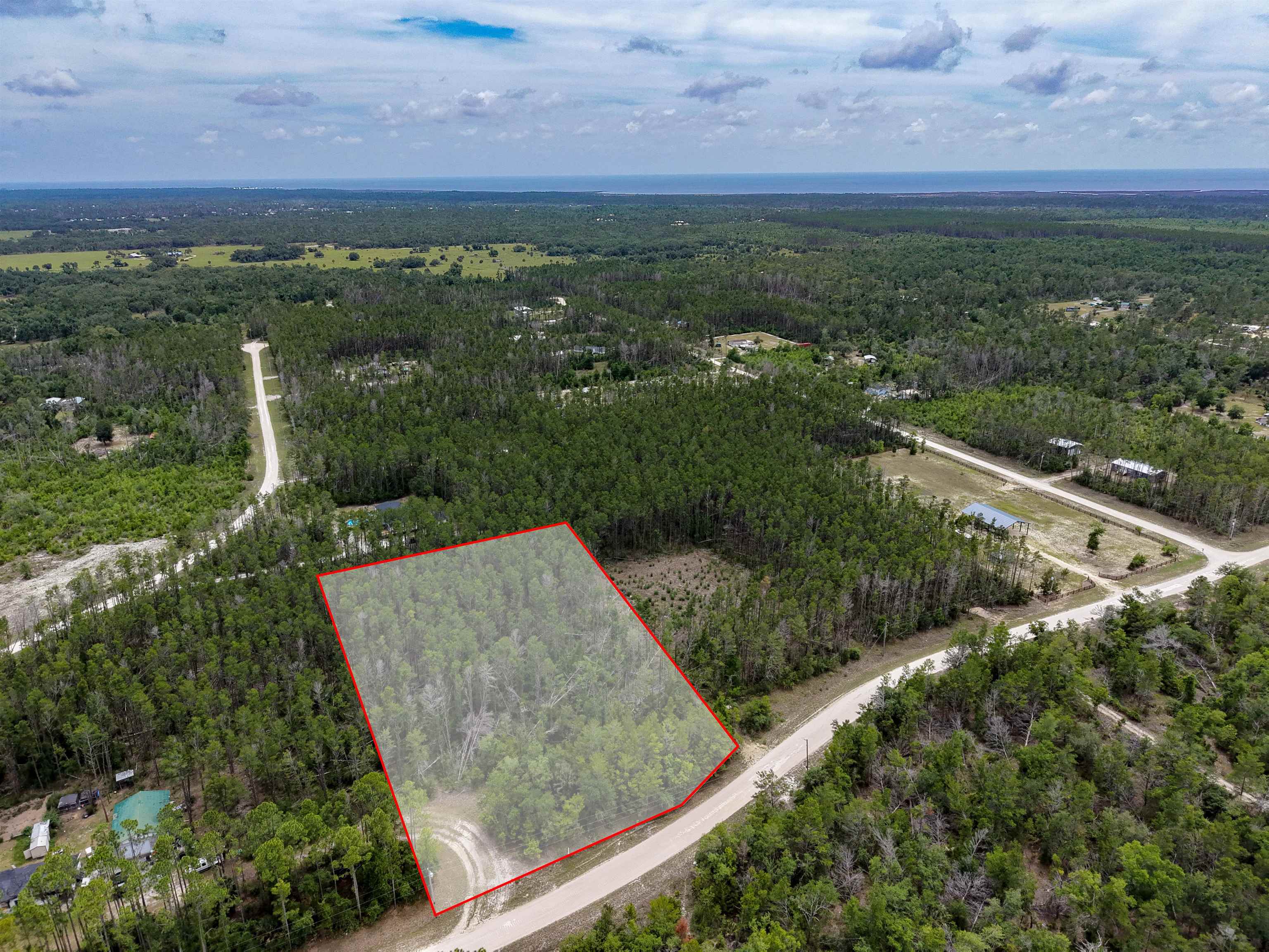 Tbd Ocean Pond Road Perry, FL 32348 - Photo 10 of 21