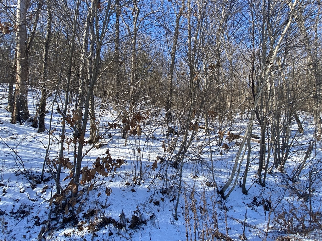 593 Old Warren Road Palmer, MA 01069 - Photo 7 of 8