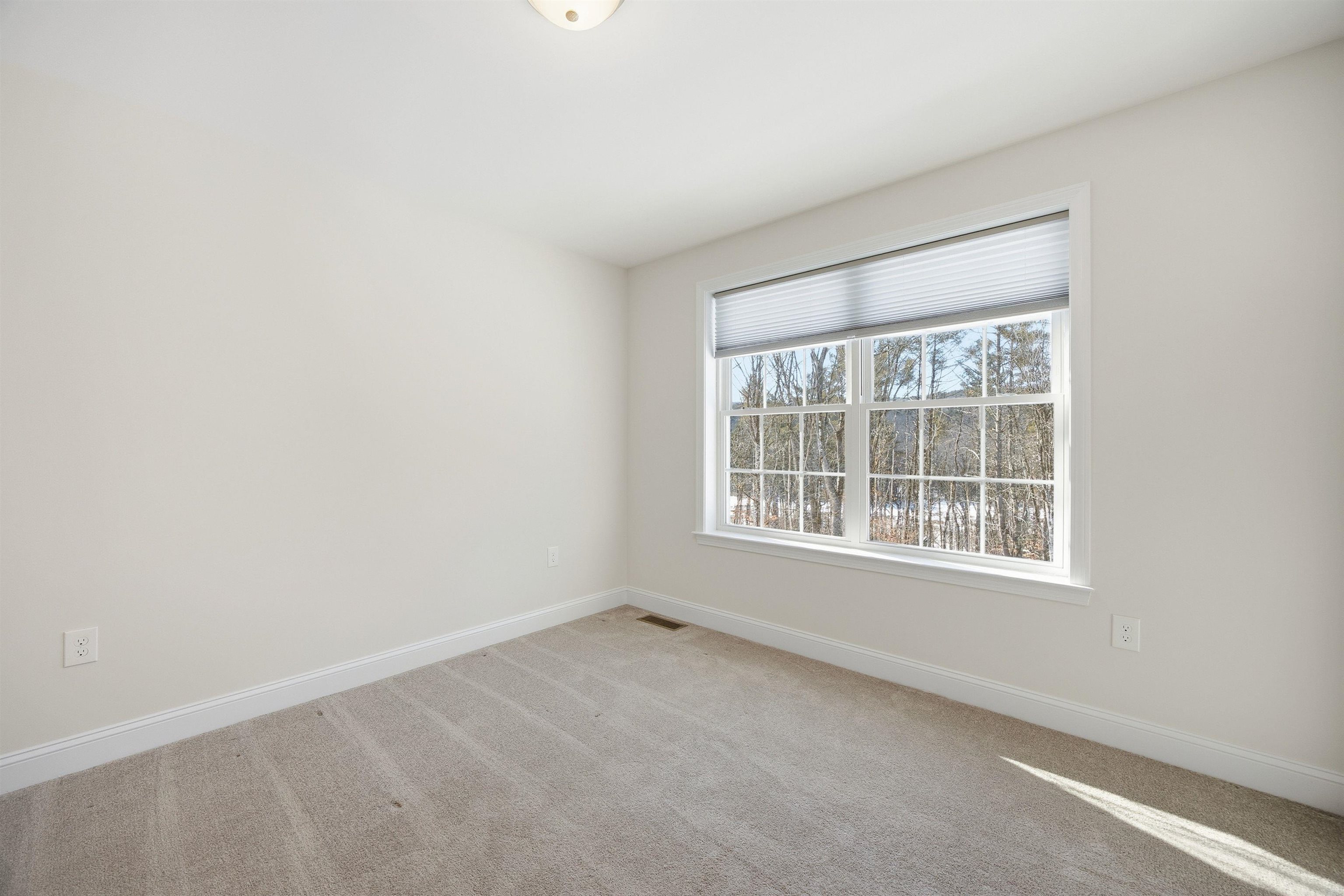 192 Grapevine Road Dunbarton, NH 03046 - Photo 31 of 49