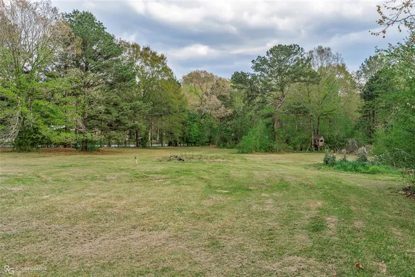 a view of a grassy field with trees in the background