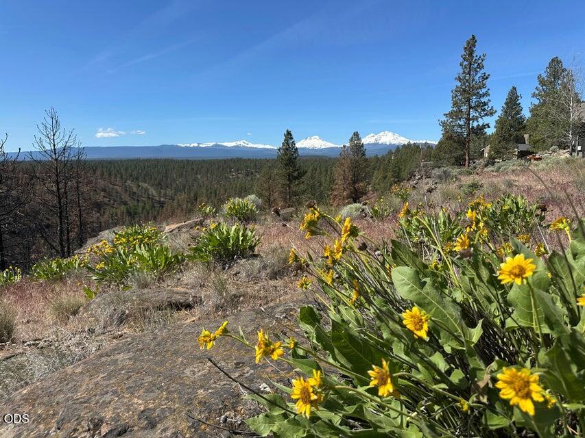 17127 Mountain View Road Sisters, OR 97759 - Photo 10 of 16 Gallery Image 10