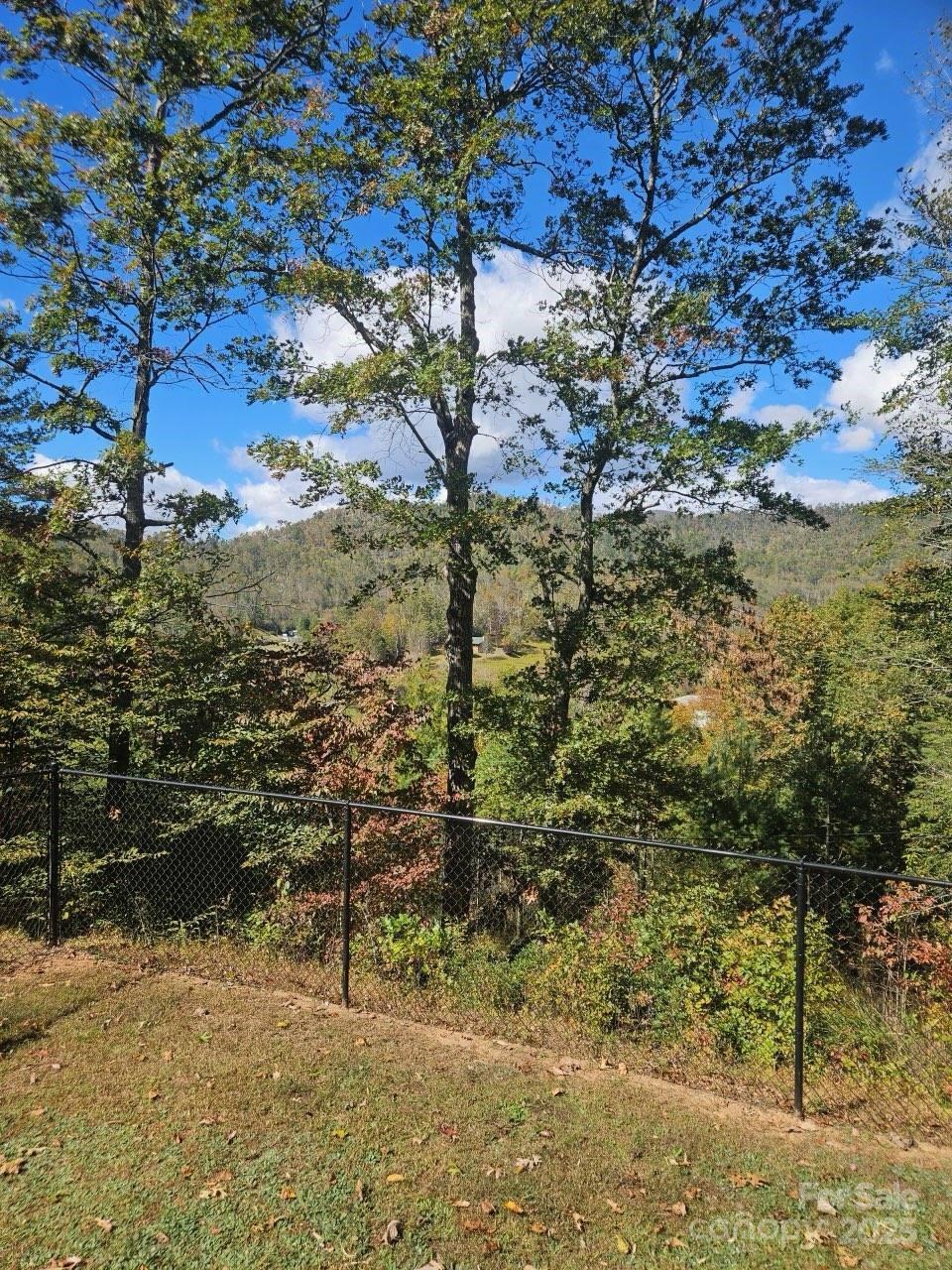 493 Spring Hill Road Bakersville, NC 28705 - Photo 6 of 20