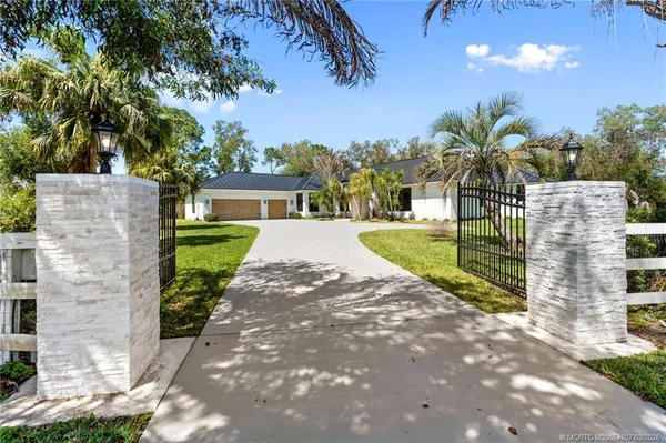 a view of a backyard with plants and palm tree