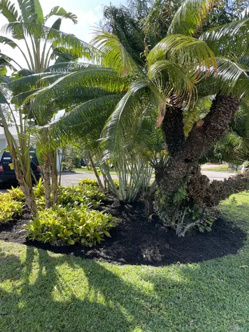 a view of a garden with a flower garden