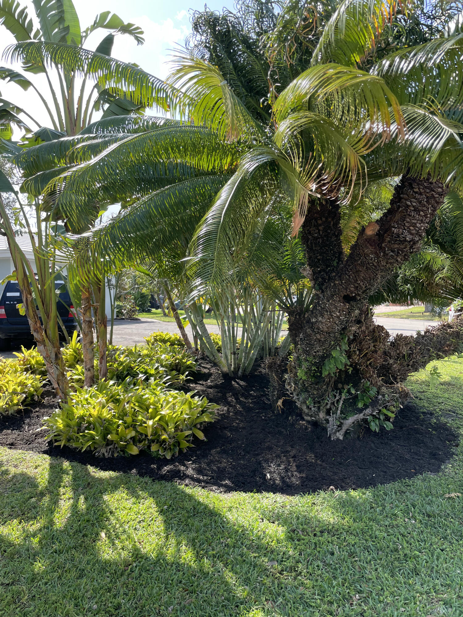 299 Northwest 10th Court Boca Raton, FL 33486 - Photo 34 of 42 a view of a garden with a flower garden