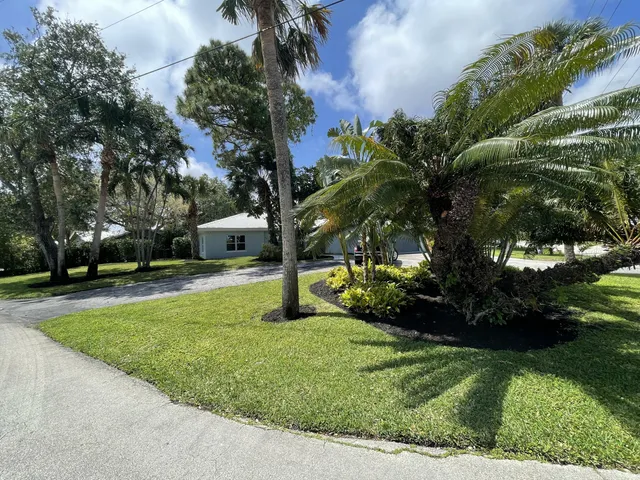 a view of a yard with palm trees