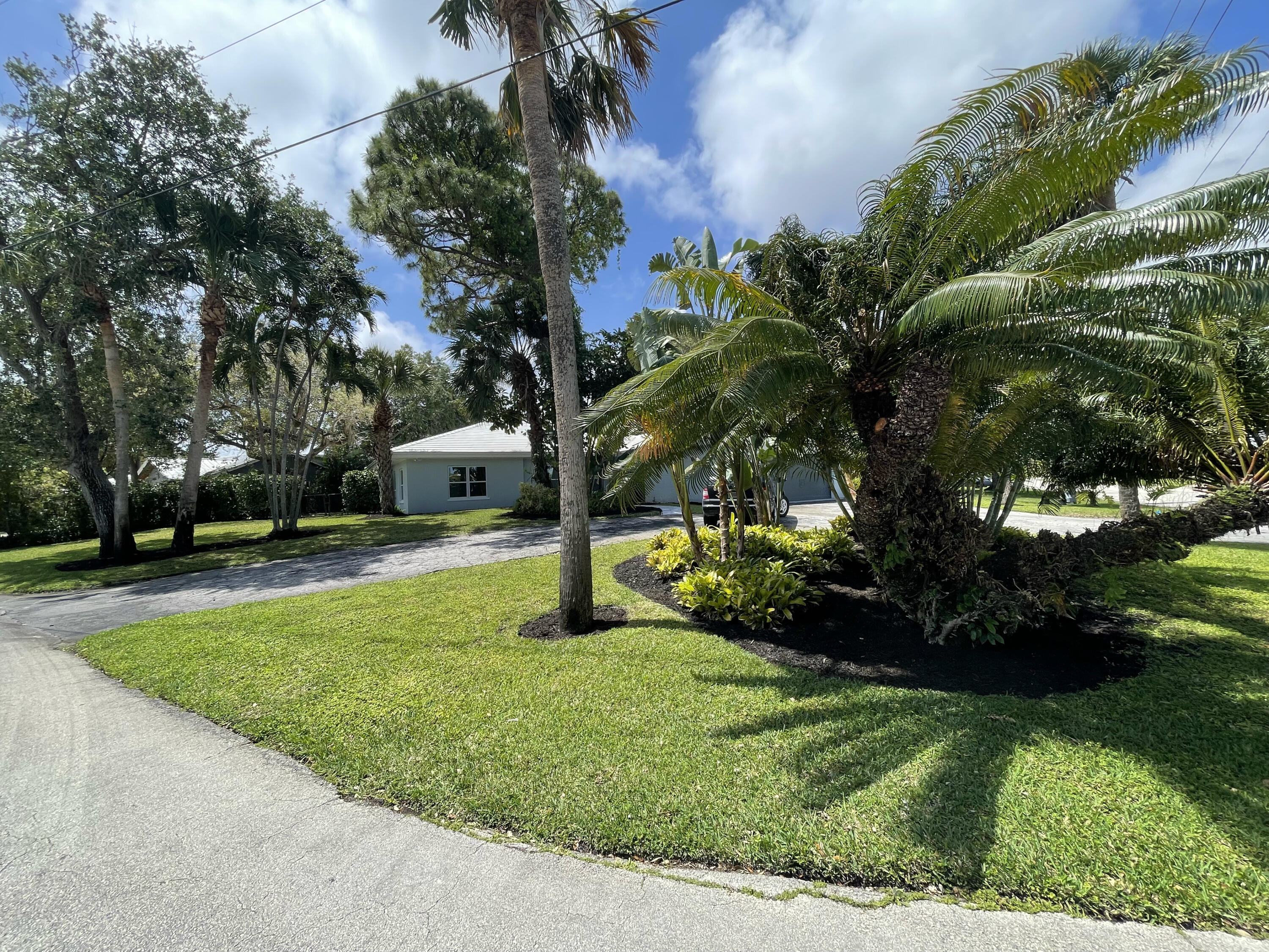 299 Northwest 10th Court Boca Raton, FL 33486 - Photo 35 of 42 a view of a yard with palm trees