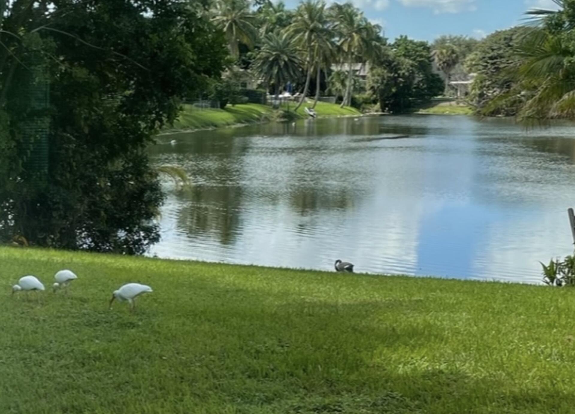 299 Northwest 10th Court Boca Raton, FL 33486 - Photo 37 of 42 a view of a lake with a yard
