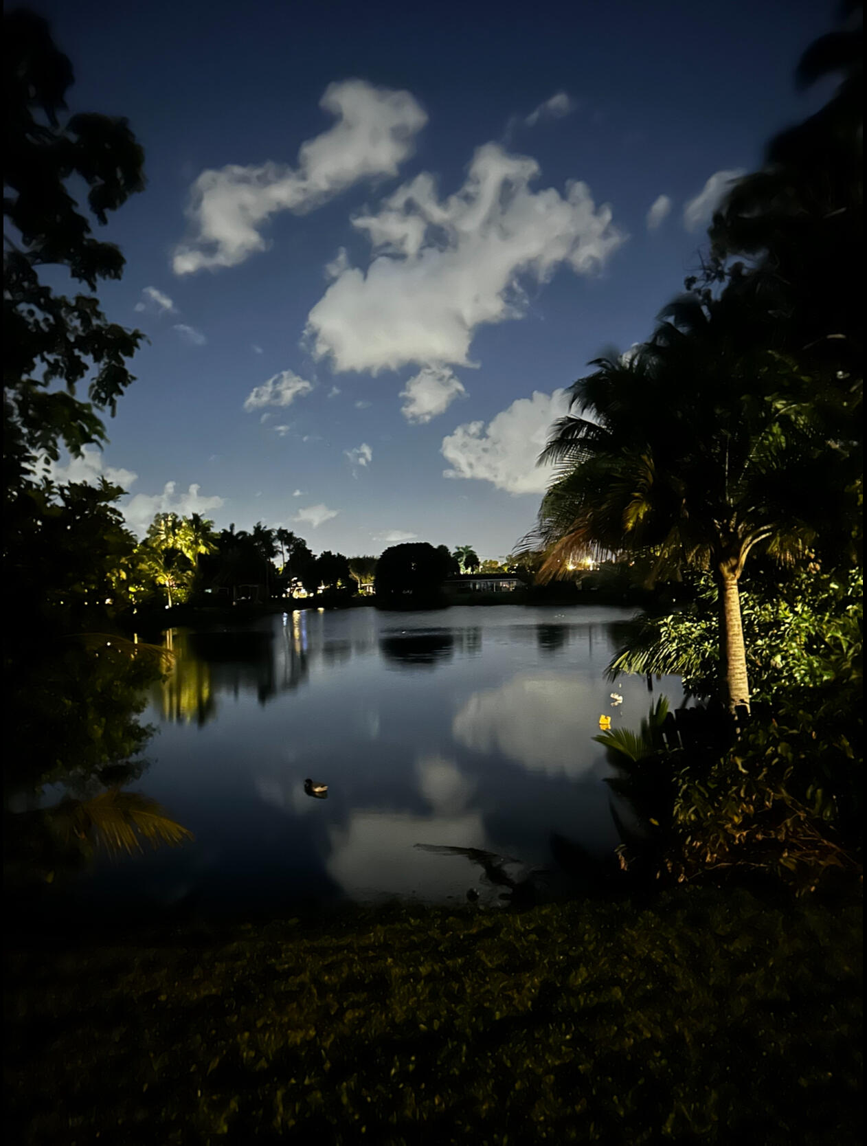 299 Northwest 10th Court Boca Raton, FL 33486 - Photo 42 of 42 a view of lake from next to house
