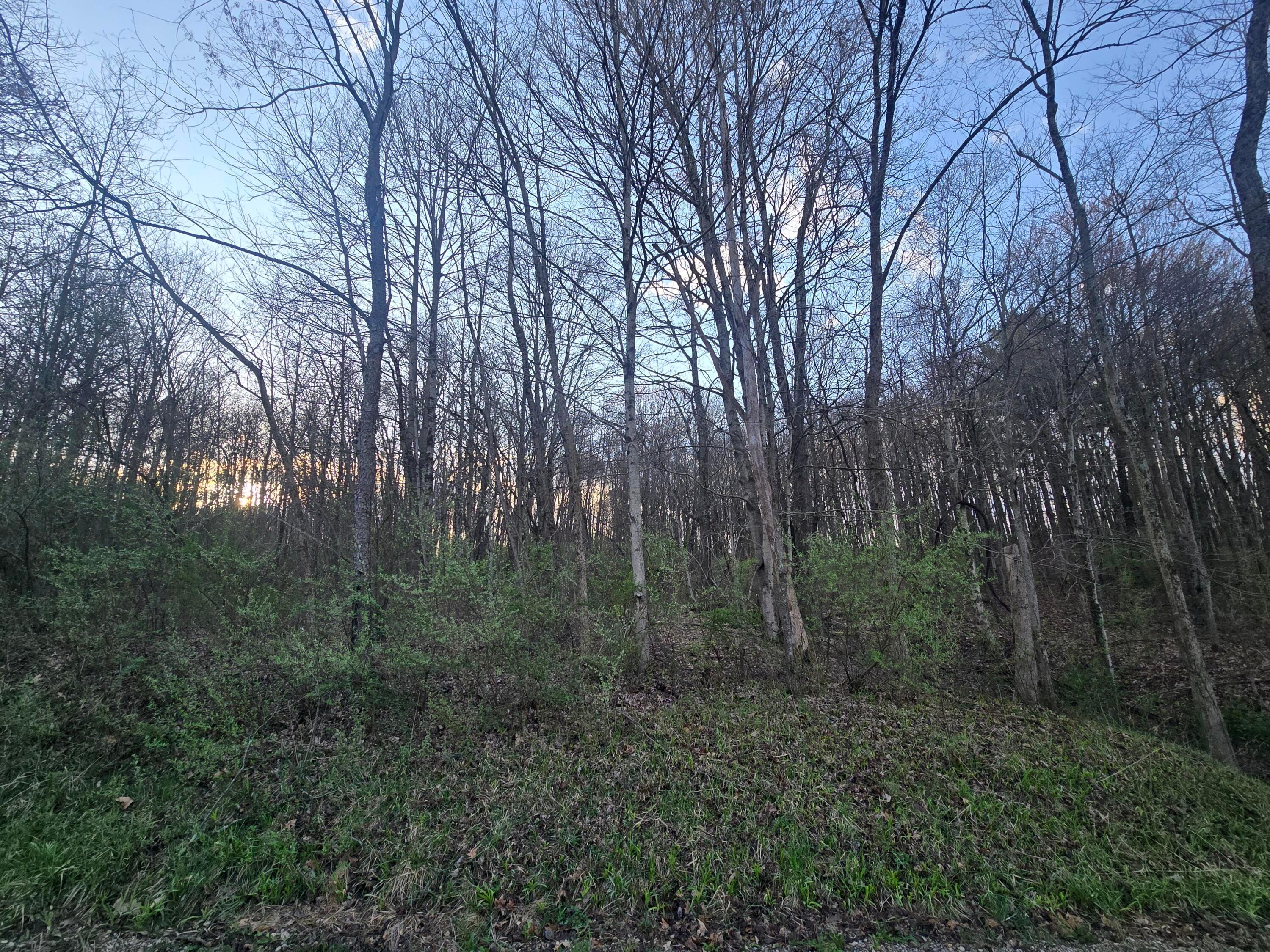 0 Township Road 375 Warsaw, OH 43844 - Photo 14 of 15 20250415_075841