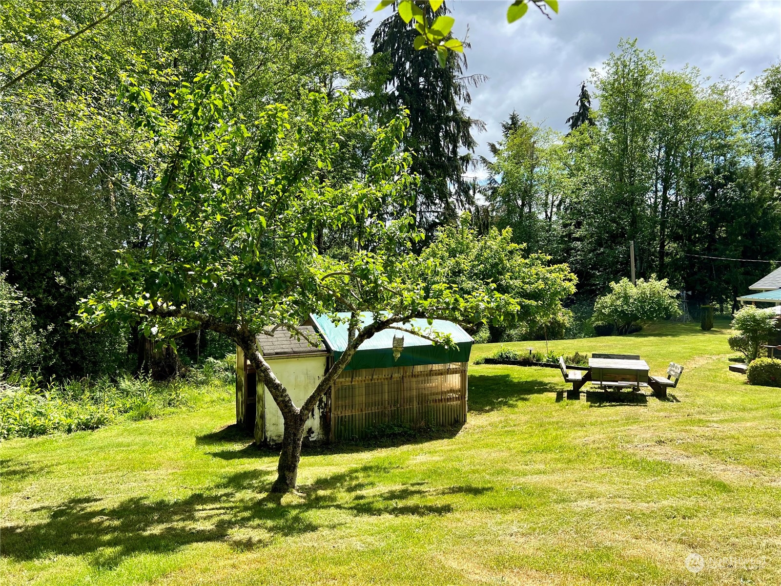 1900 West Highland Road Shelton, WA 98584 - Photo 22 of 40 Gallery Image 22