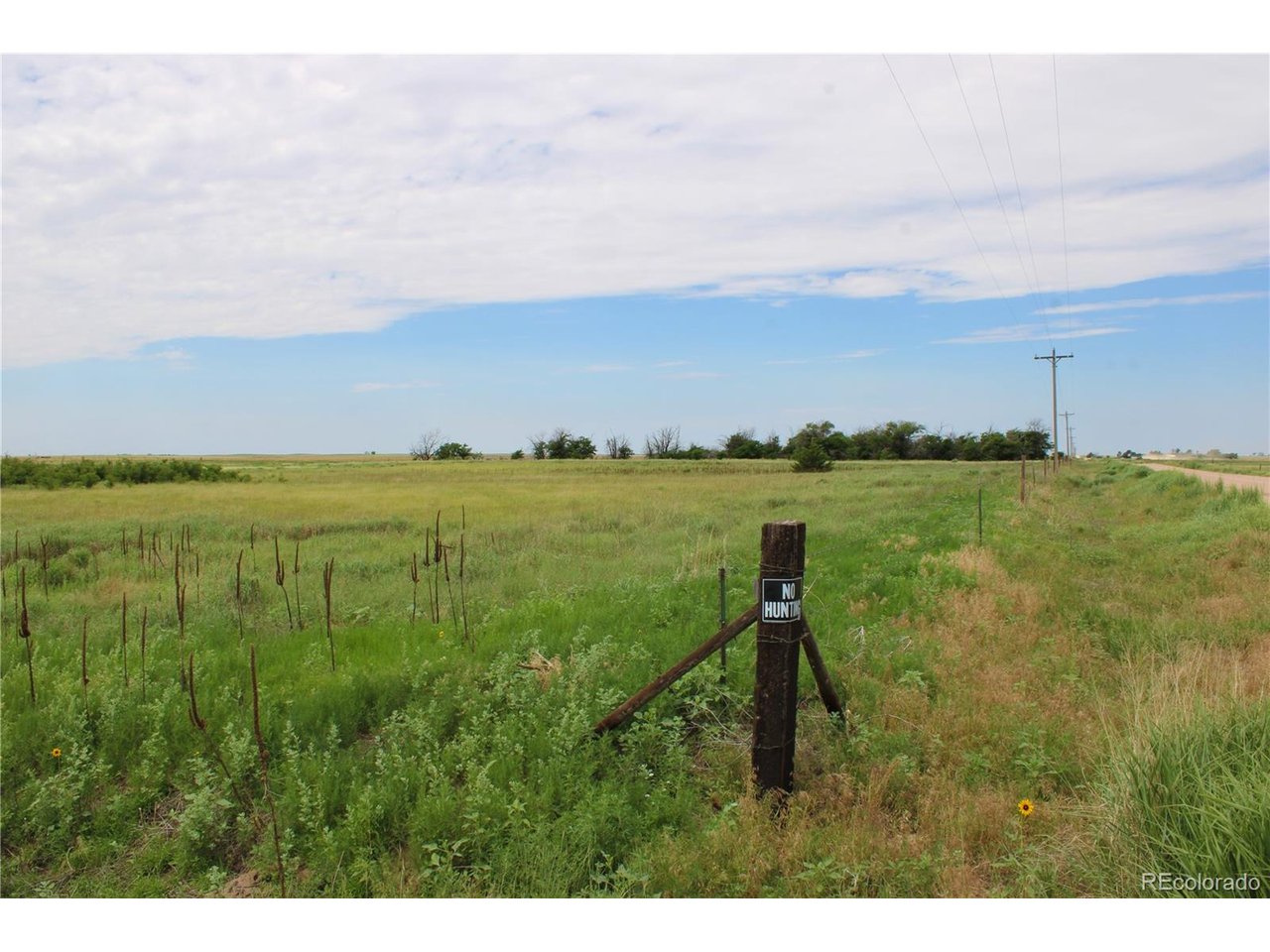 1901 County Rd H Joes, CO 80822 - Photo 20 of 35