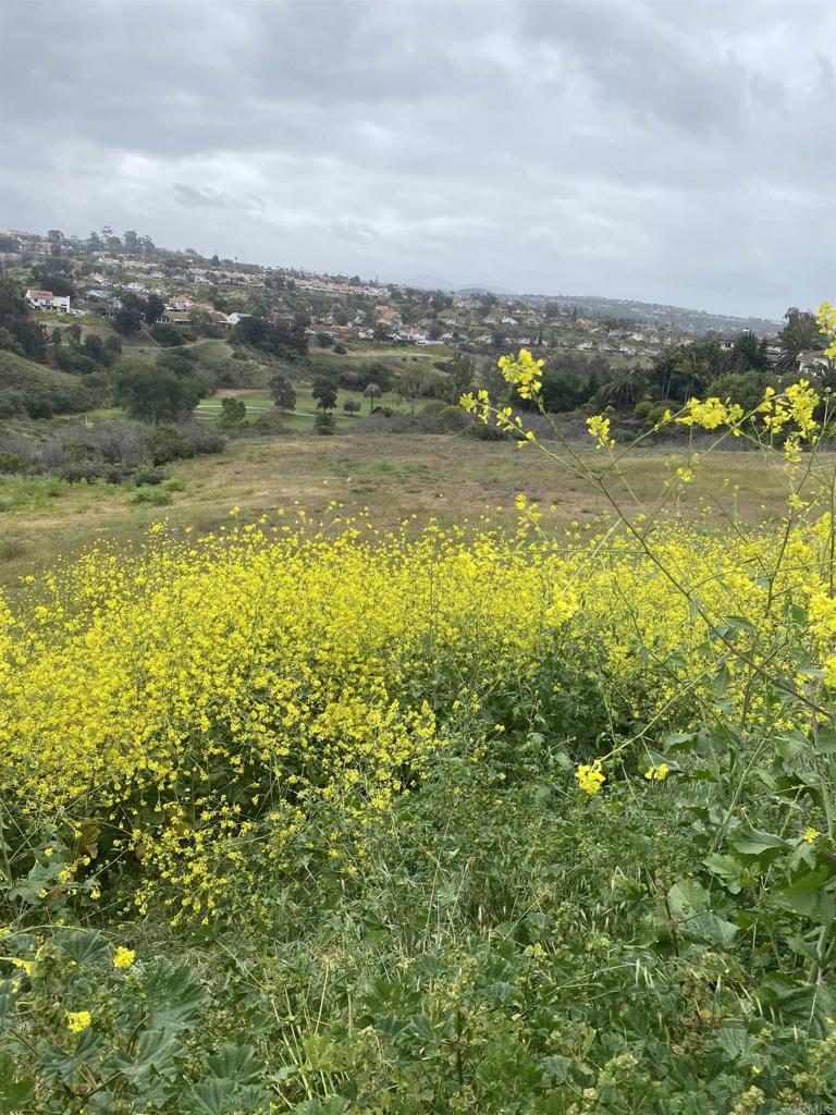 0 Oceanview Road Oceanside, CA 92056 - Photo 3 of 3 a view of a lake with houses in the back