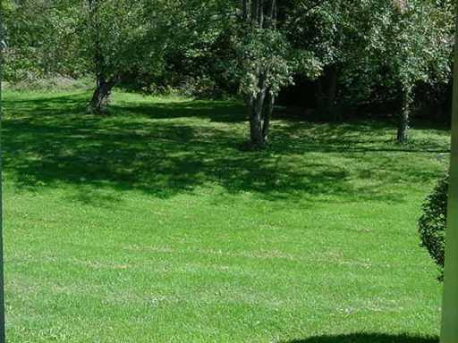 242 Quail Run Road Venetia, PA 15367 - Photo 3 of 8 Yard/Garden.