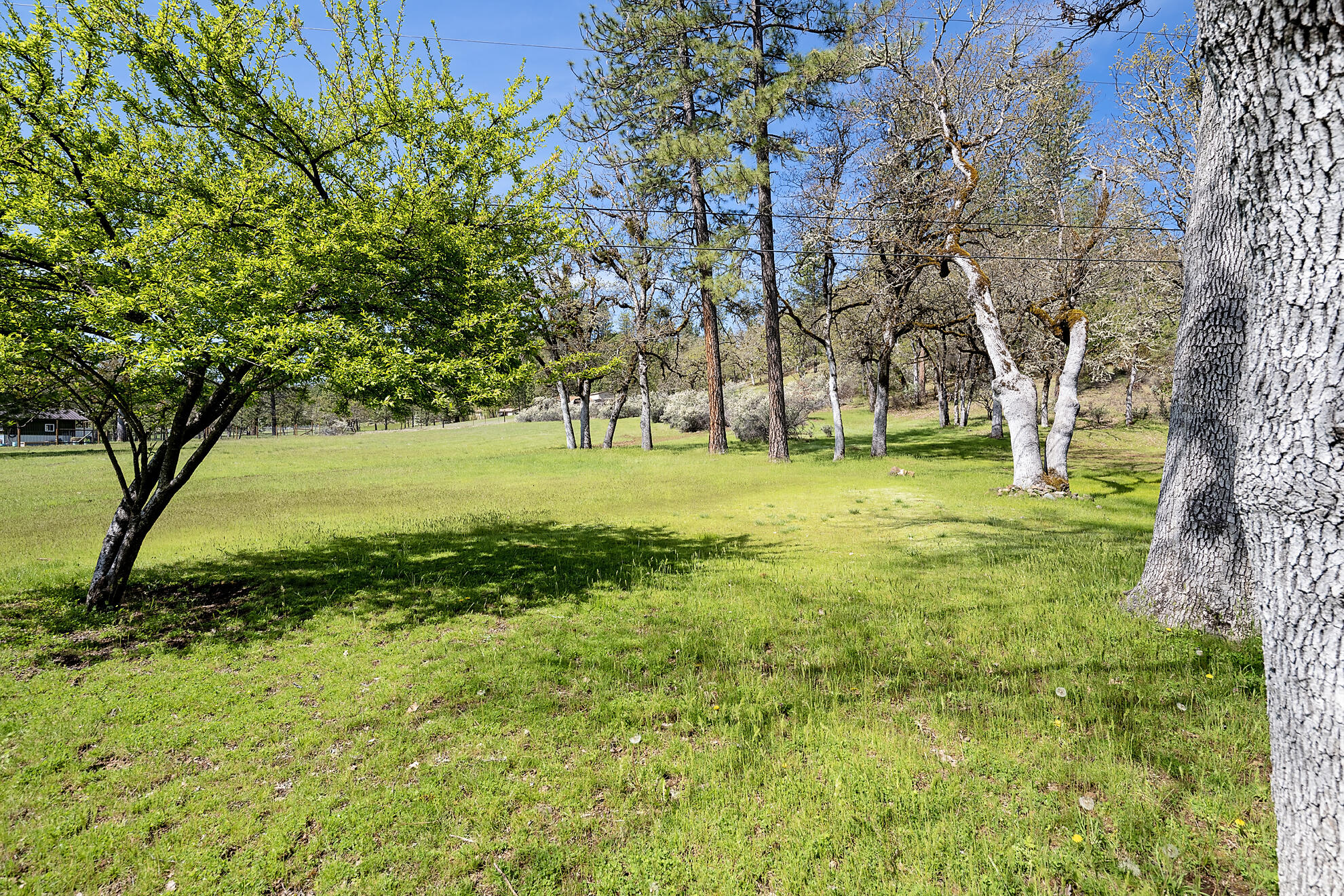 778 Ragsdale Road Trail, OR 97541 - Photo 47 of 48 Side yard