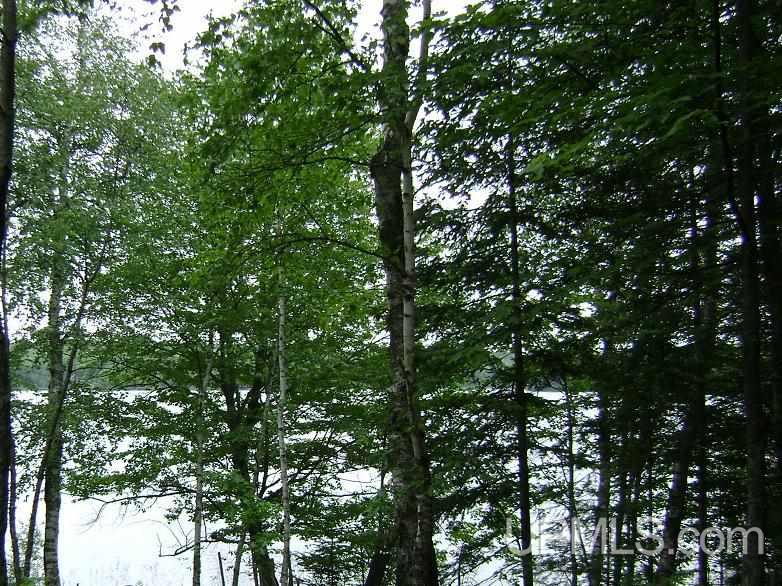 Tbd West Cable Lake Road Crystal Falls, MI 49903 - Photo 3 of 5