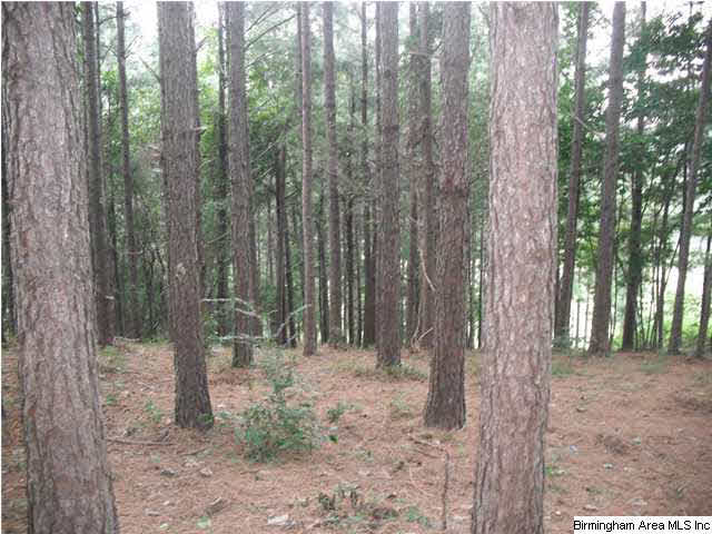 Pepper Road, Unit 61 Ashland, AL 36251 - Photo 3 of 10