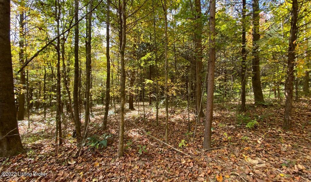 L44 Ted Logsdon Road Clarkson, KY 42726 - Photo 5 of 9 River View Fall230