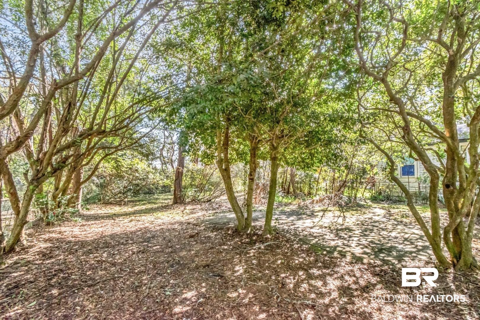 731 Jemison Street Mobile, AL 36606 - Photo 18 of 27 View of local wilderness